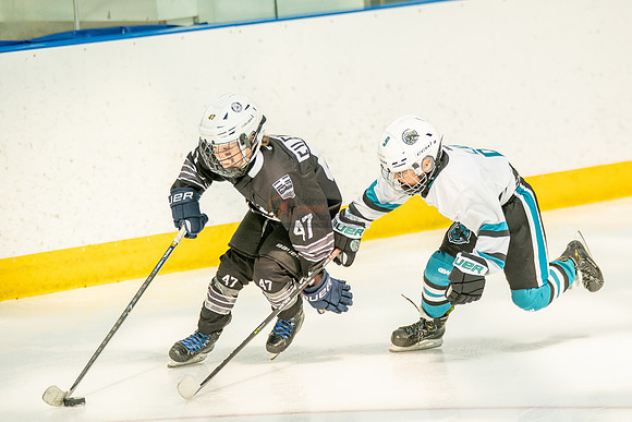 sharks-may2-0275