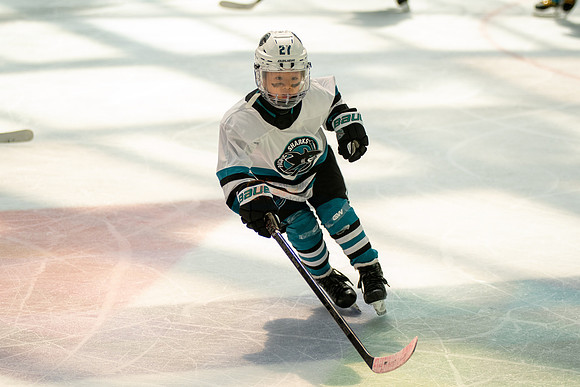 sharks-may2-0375