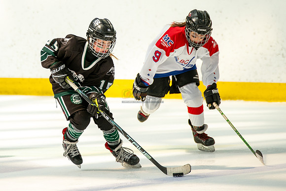 Husky-prospects-0394