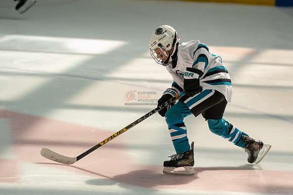 sharks-may2-0378