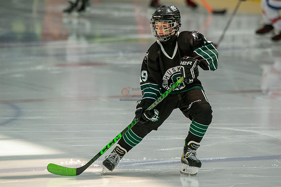 Husky-prospects-0025