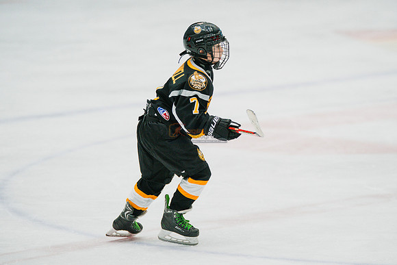 hawksnov92024-214