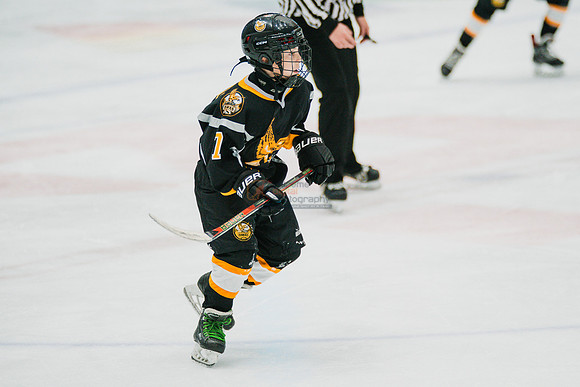 hawksnov92024-221