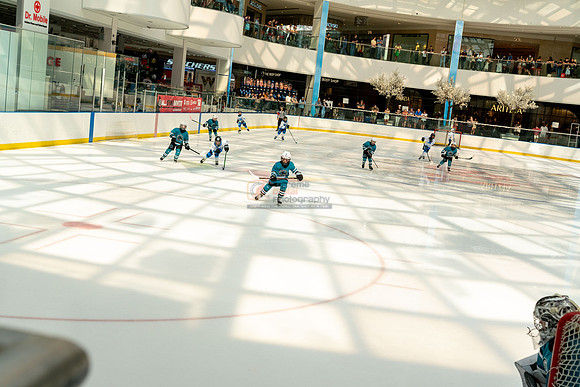 Sharks-may3-9930