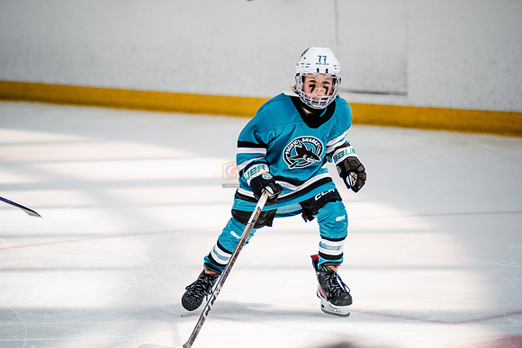 Sharks-may3-0178