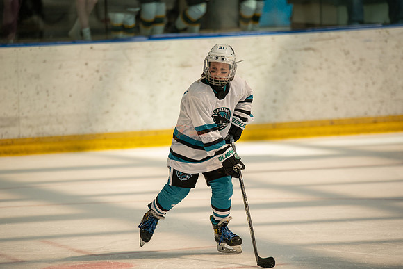 sharks-may2-0448