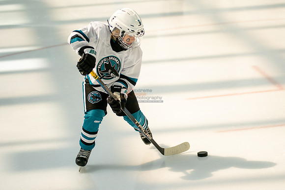 sharks-may2-0008