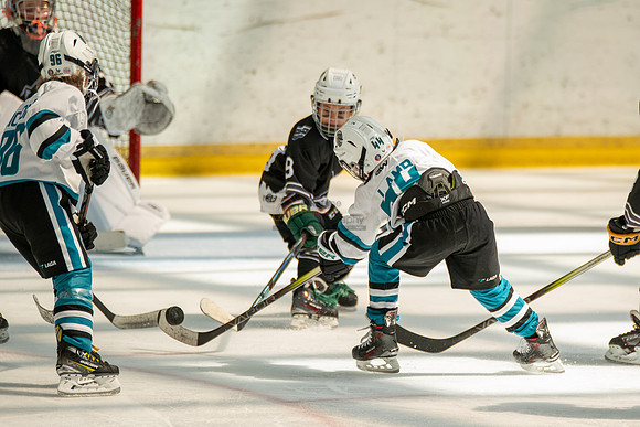 sharks-may2-0345