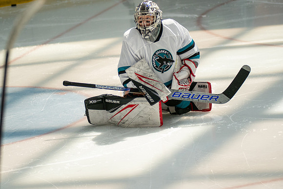 sharks-may2-0020
