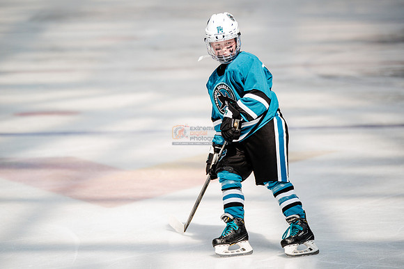 Sharks-may3-0230