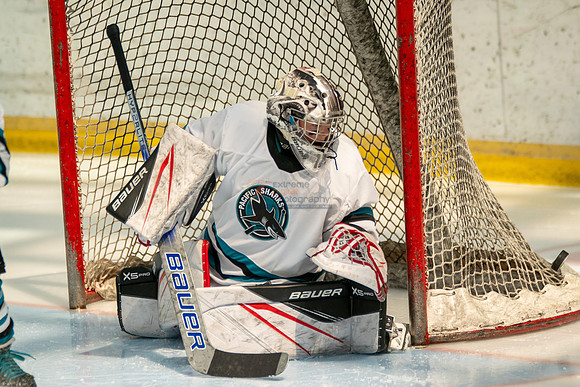 sharks-may2-0064