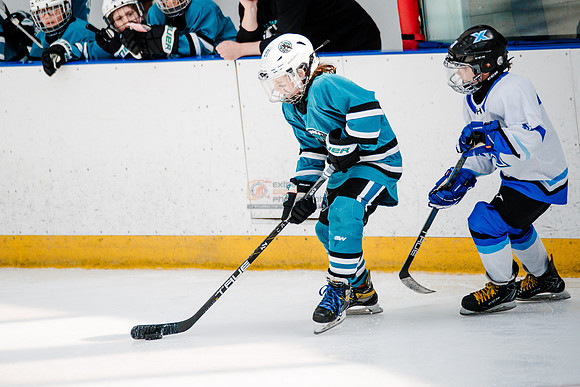 Sharks-may3-0233