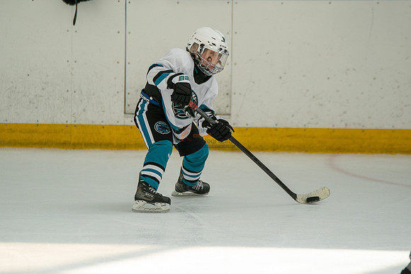 sharks-may2-0431