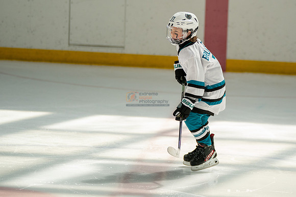 sharks-may2-0381