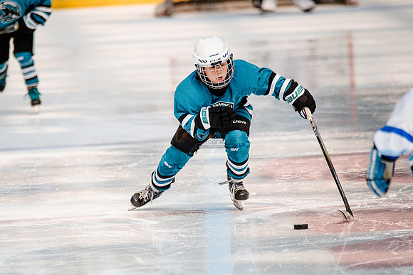 Sharks-may3-0189