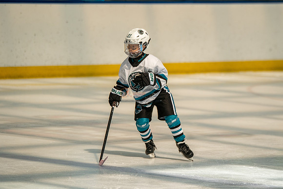 sharks-may2-0171
