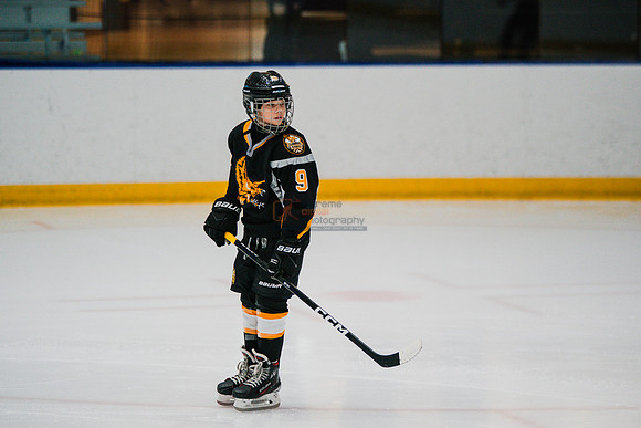 hawksnov92024-23