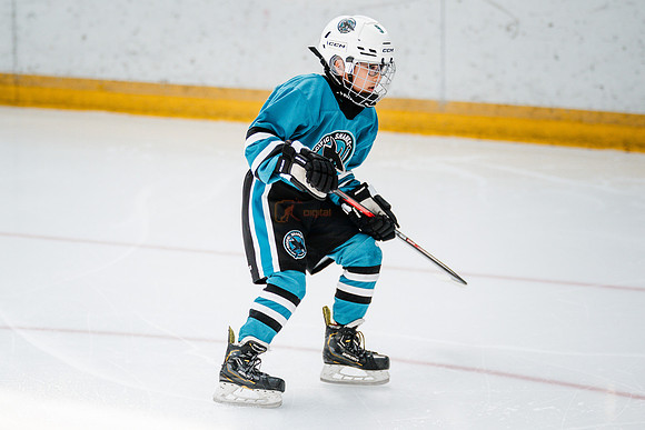 Sharks-may3-0054