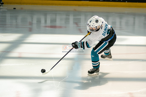 sharks-may2-0021