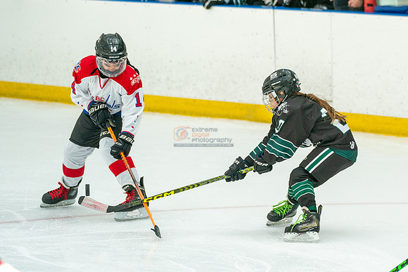 Husky-prospects-0160