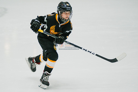 hawksnov92024-95