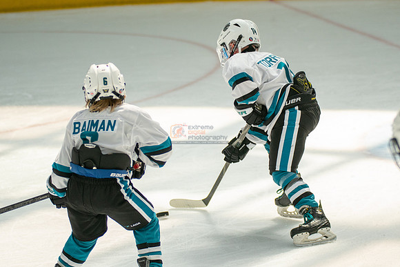 sharks-may2-0292