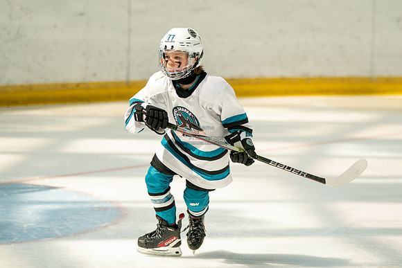 sharks-may2-0149