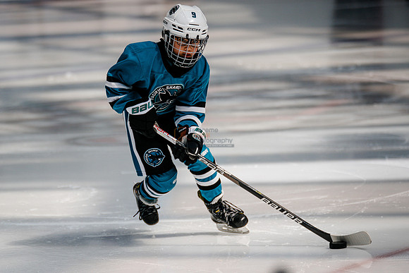 Sharks-may3-0022