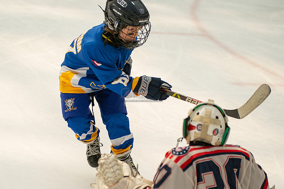 Bisons-2-17