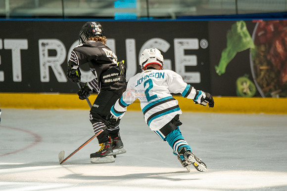 sharks-may2-0415