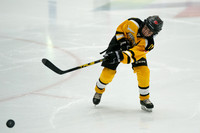 PRedators-yellow-4