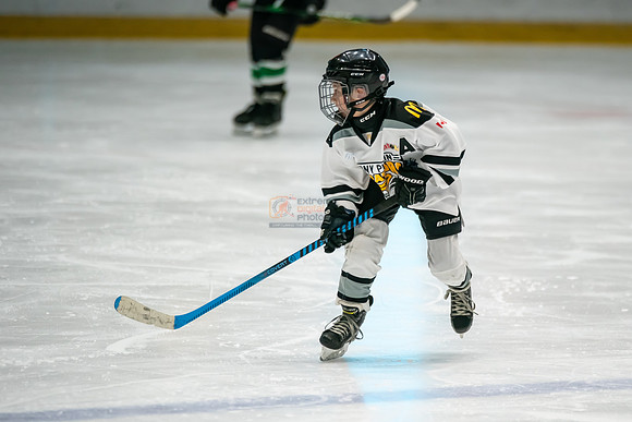 stplpreds-3