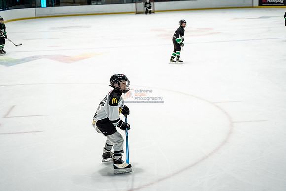 stplpreds-2-4