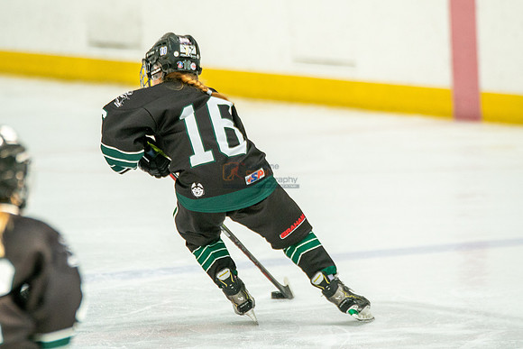 Husky-prospects-0102