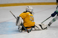 PRedators-yellow-21