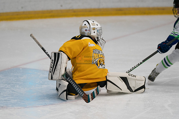 PRedators-yellow-21
