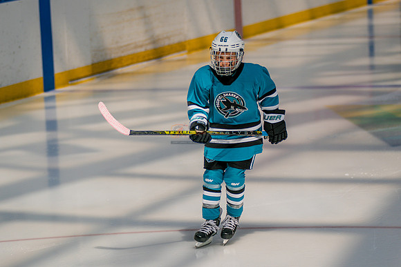 Sharks-may3-0005