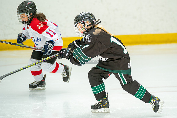 Husky-prospects-2-19