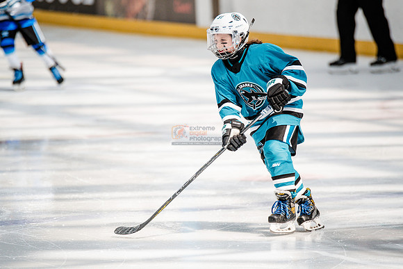 Sharks-may3-0188
