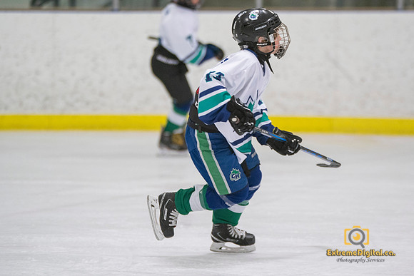 u13-team-pic-0585