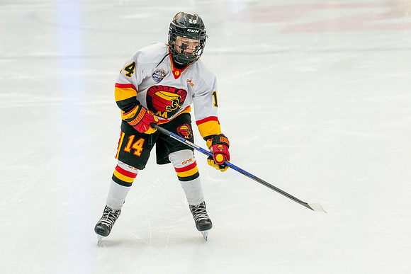 Suns-Gold-0801