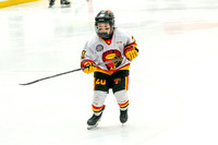 Suns-Gold-0819