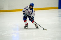 Tbirds-2160