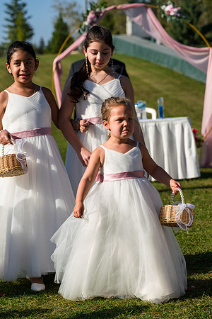 Wedding-Photos-5457
