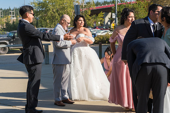 Wedding-Photos-5478