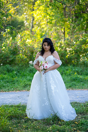 Wedding-Photos-2057