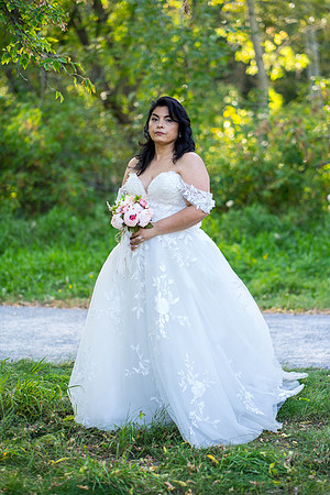 Wedding-Photos-2079