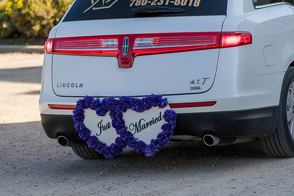 Wedding-Photos-5052