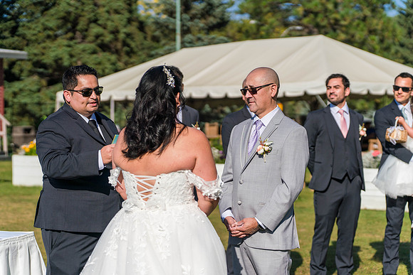 Wedding-Photos-5239