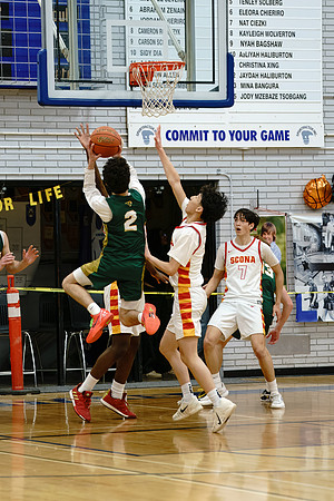 Platt2-bball-5069